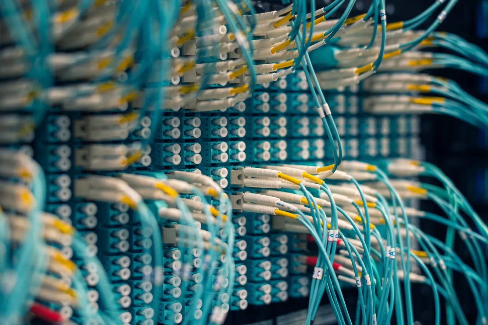 CISA dodaje lukę Fortinet do katalogu aktywnie wykorzystywanych podatności